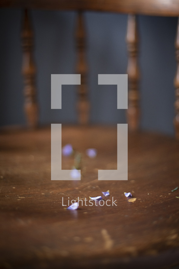 flower petals on a wood chair 