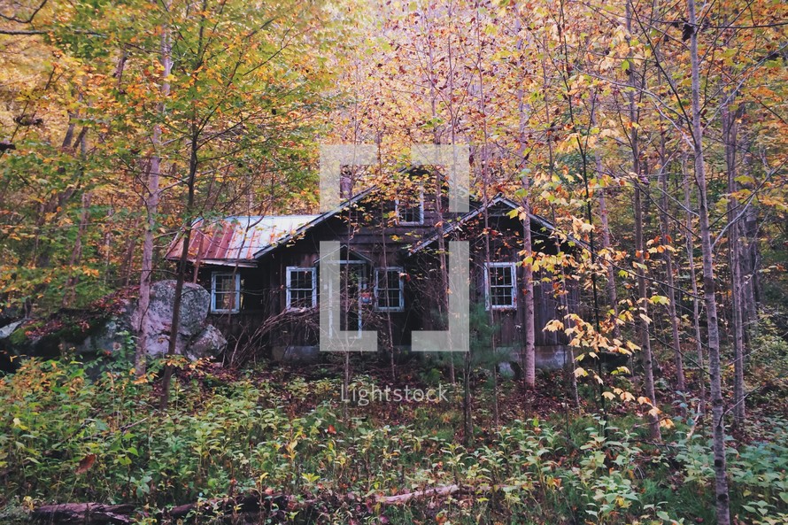 cabin in the woods 