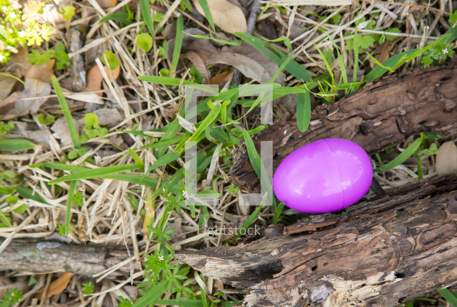 hidden plastic easter egg 