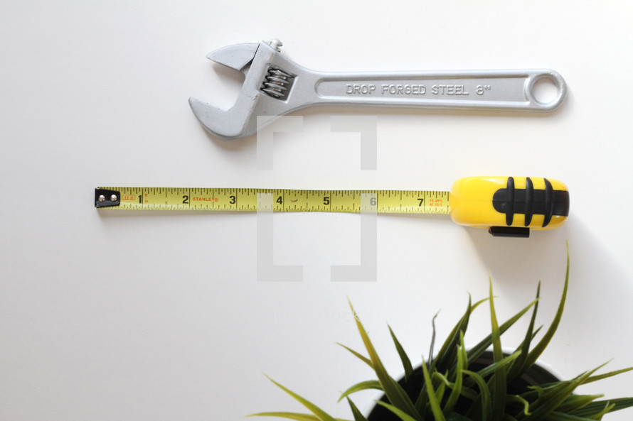 measuring tape, wrench, and houseplant 