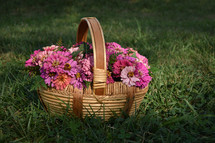 a basket of pink flowers 