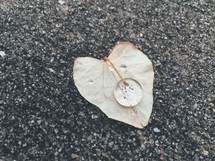 water droplet on a heart shaped leaf on asphalt 