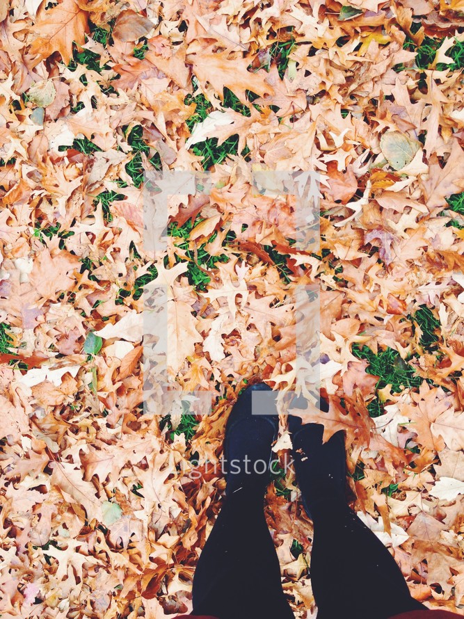 feet standing in fall leaves on the ground 