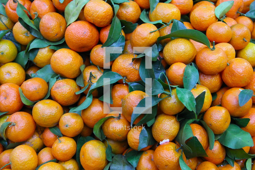Clementines or Mandarin Oranges