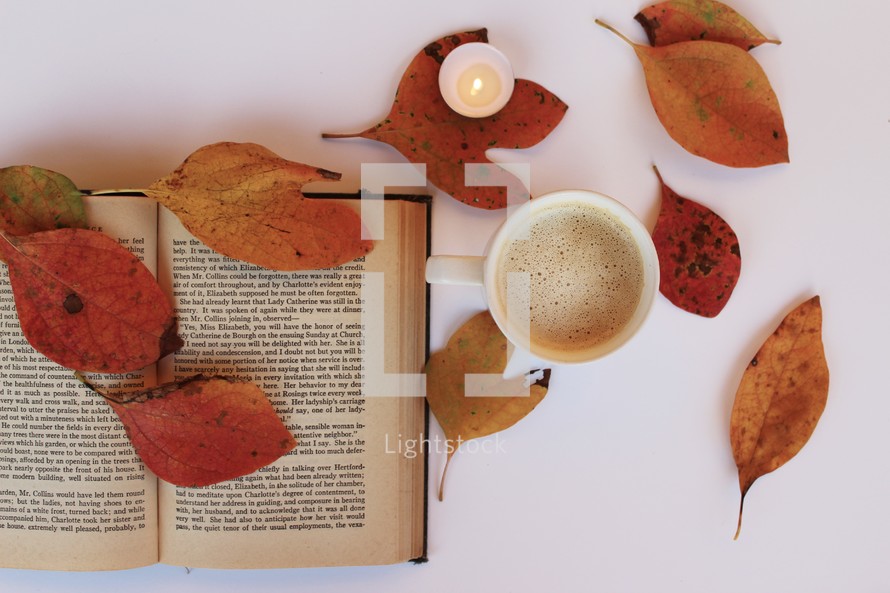 reading a book in fall 