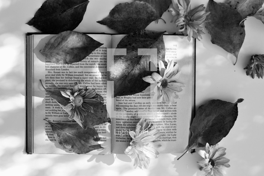 leaves and flowers on the pages of a book 
