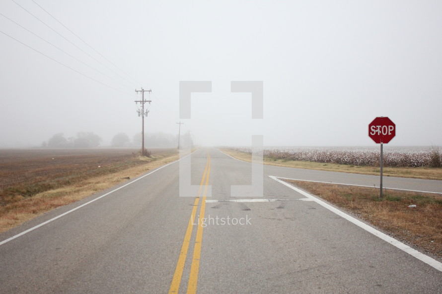 rural road and cotton field 