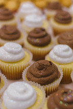 cupcakes with chocolate and vanilla icing 