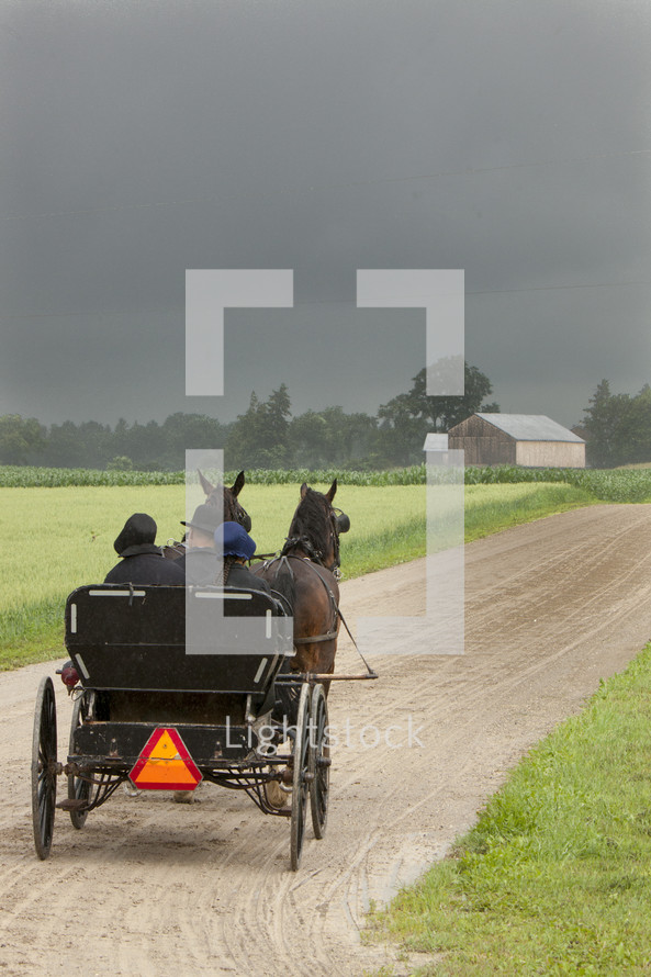 Horses pulling a carriage on a dirt road toward a farmhouse.