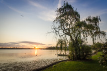 Lake at sunset near green grass and tree, with blue sky and flying bird in the background.