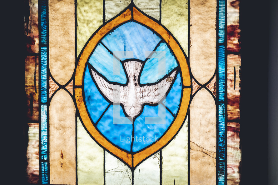 dove stained glass window 