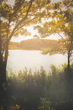 Autumn foliage and fog lake in morning. Vertical image with copyspace.