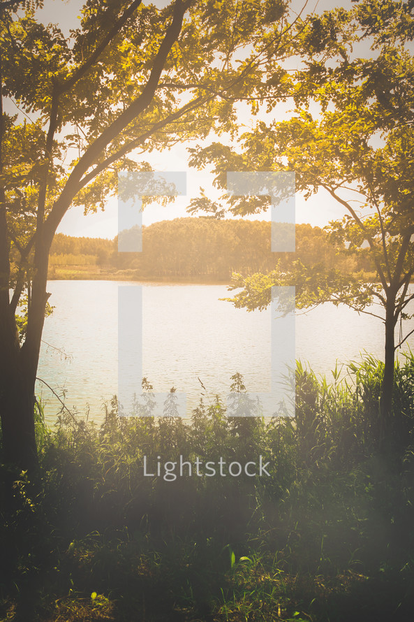 Autumn foliage and fog lake in morning. Vertical image with copyspace.