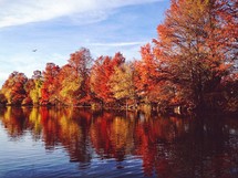 Fall trees along a lake shore. 