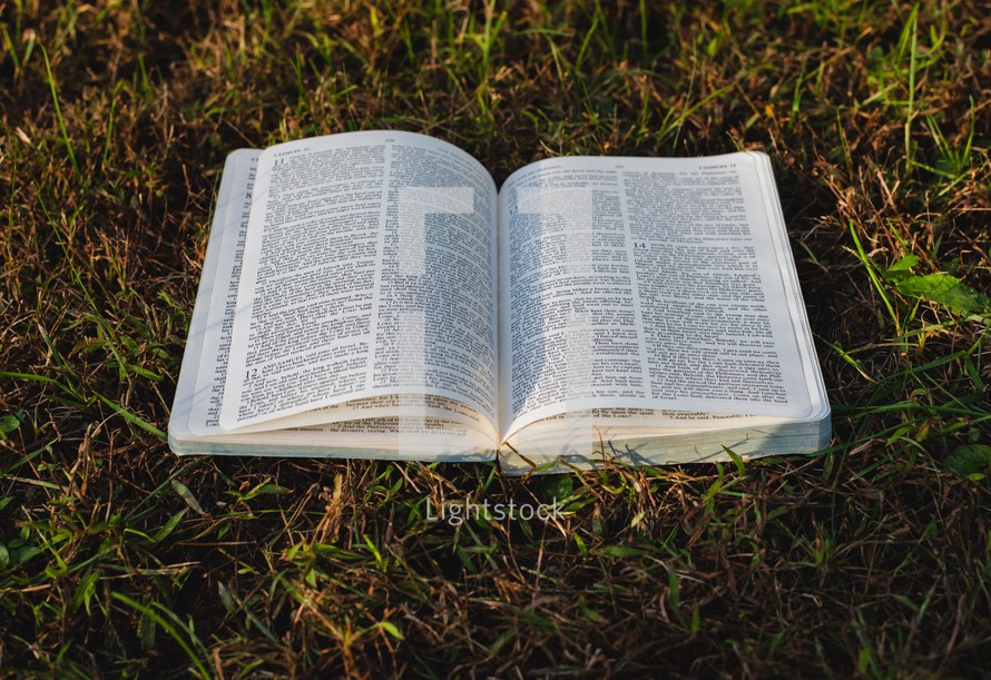 open Bible in the grass