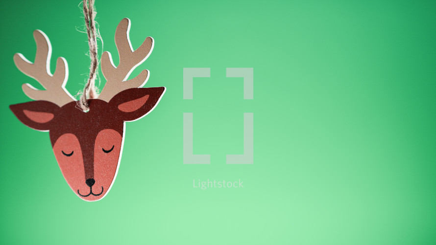 Reindeer Christmas decoration with green background
