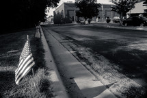 American Flags along the curb 