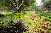 tropical gardens 
