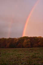 rainbow over a fall forest 