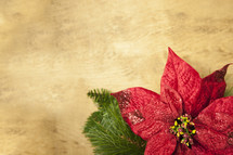 poinsettia and garland on wood 