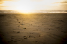 footprints in the sand 