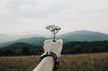 man holding out picked flowers and mountains 