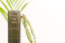 Bible, crown of thorns and palm fronds 