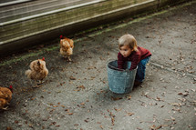 chickens, toddler, boy, farm, feeding, animals, birds, farm animals, chicken coupe 