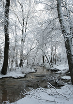 snow covered banks of a stream in a forest