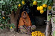 A woman seated on the ground beside a group of lemons