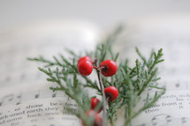 red berries and greenery on the pages of a Bible 