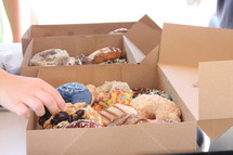 boxed of donuts 