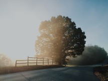 a rural country road in morning 