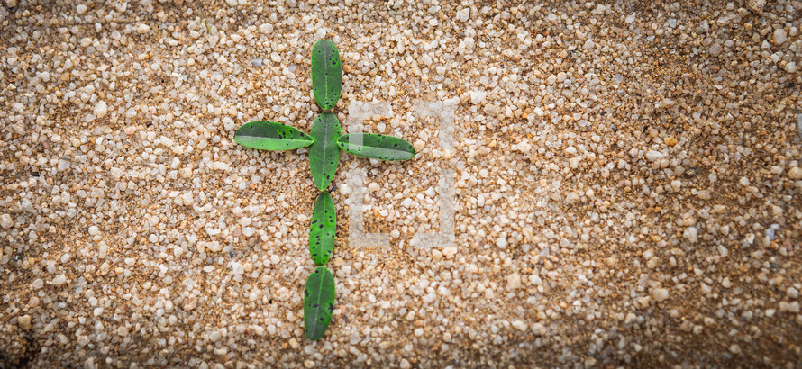 cross made of leaves on gravel 