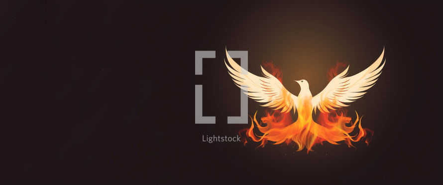 Winged dove in flames, a representation of the New Testament Holy Spirit with copy space