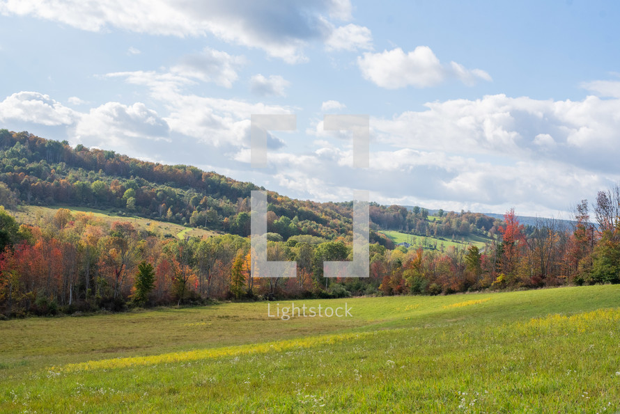 A rural setting in autumn with trees and a field.