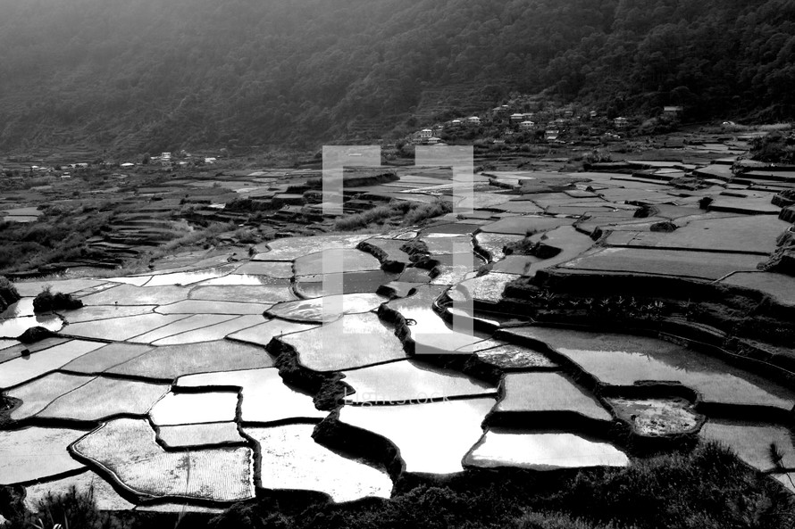 The rice paddies of Sagada, Philipines.