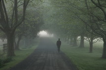 man walking down a foggy rural road 
