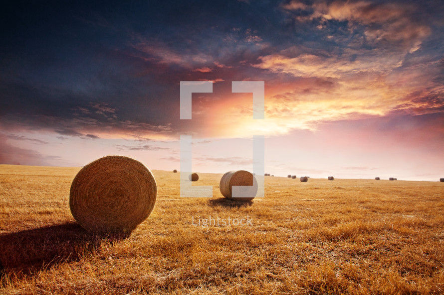 hay bales in a plowed field at sunset
