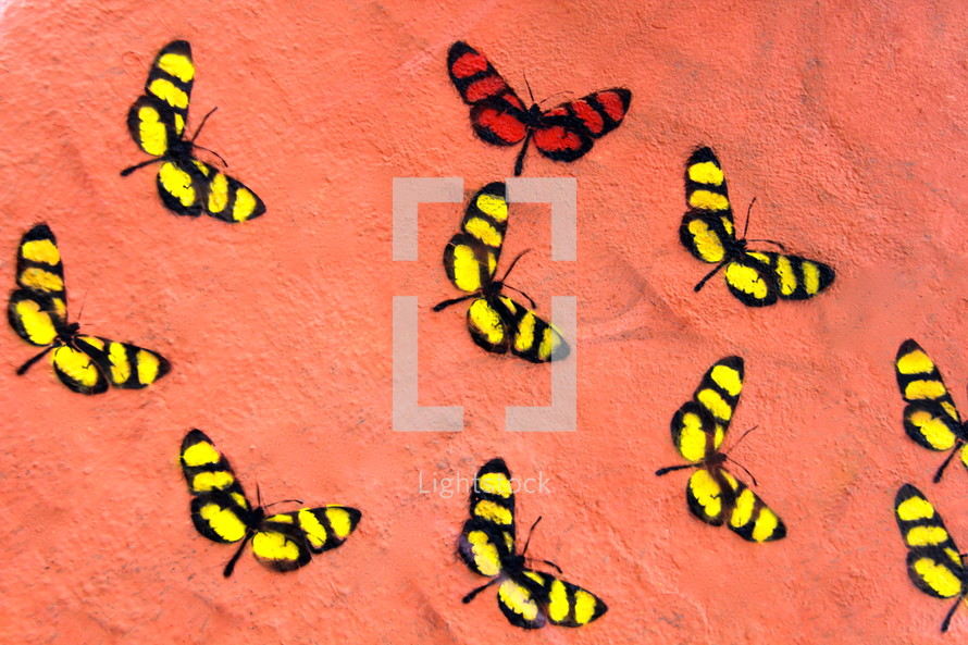 Graffiti wall art butterflies - Radically unusual