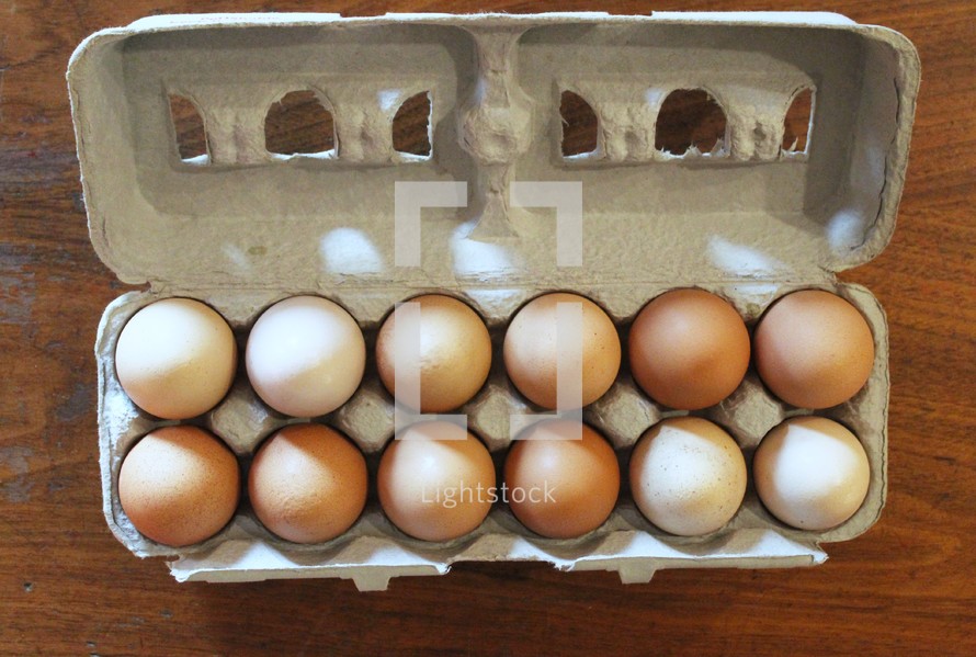 egg carton 
