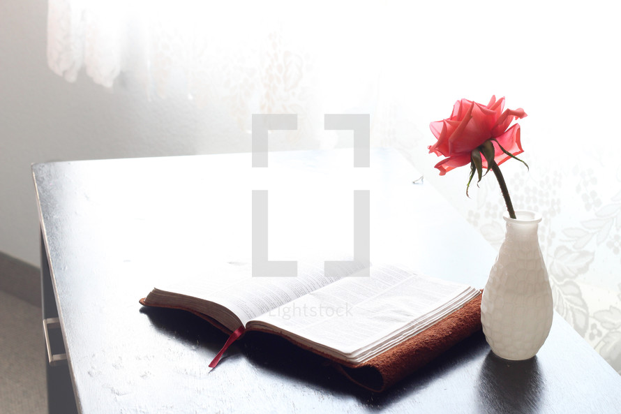 a pink rose in a white vase and an open Bible 