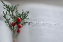Christ Born of Mary, And it came to pass, Christmas scripture 