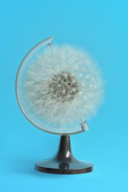 Abstract Earth Globe Dandelion Head and Spring Allergies Concept