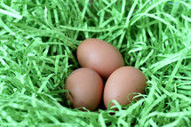 eggs in a nest of decorative grass 