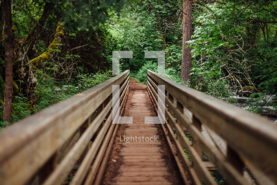Wooden bridge in forest focus on path