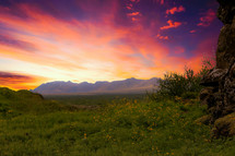 mountain peaks and green meadow under a vibrant pink and purple sky
