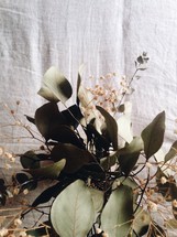 leaves and dried flowers 
