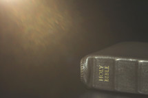 spine of a Bible 