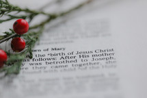 birth of Jesus Christ, Christmas scripture 